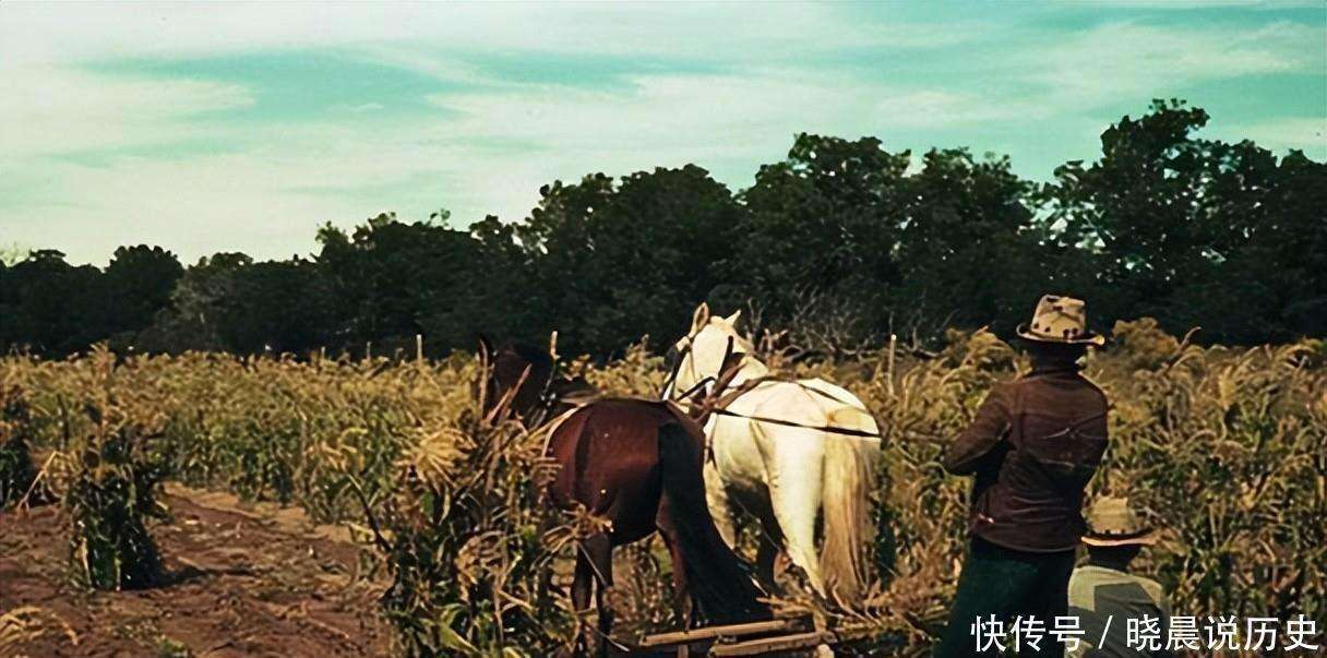 政治独立20年仍被剥削！第三世界去殖民化，为何成了一场未完革命